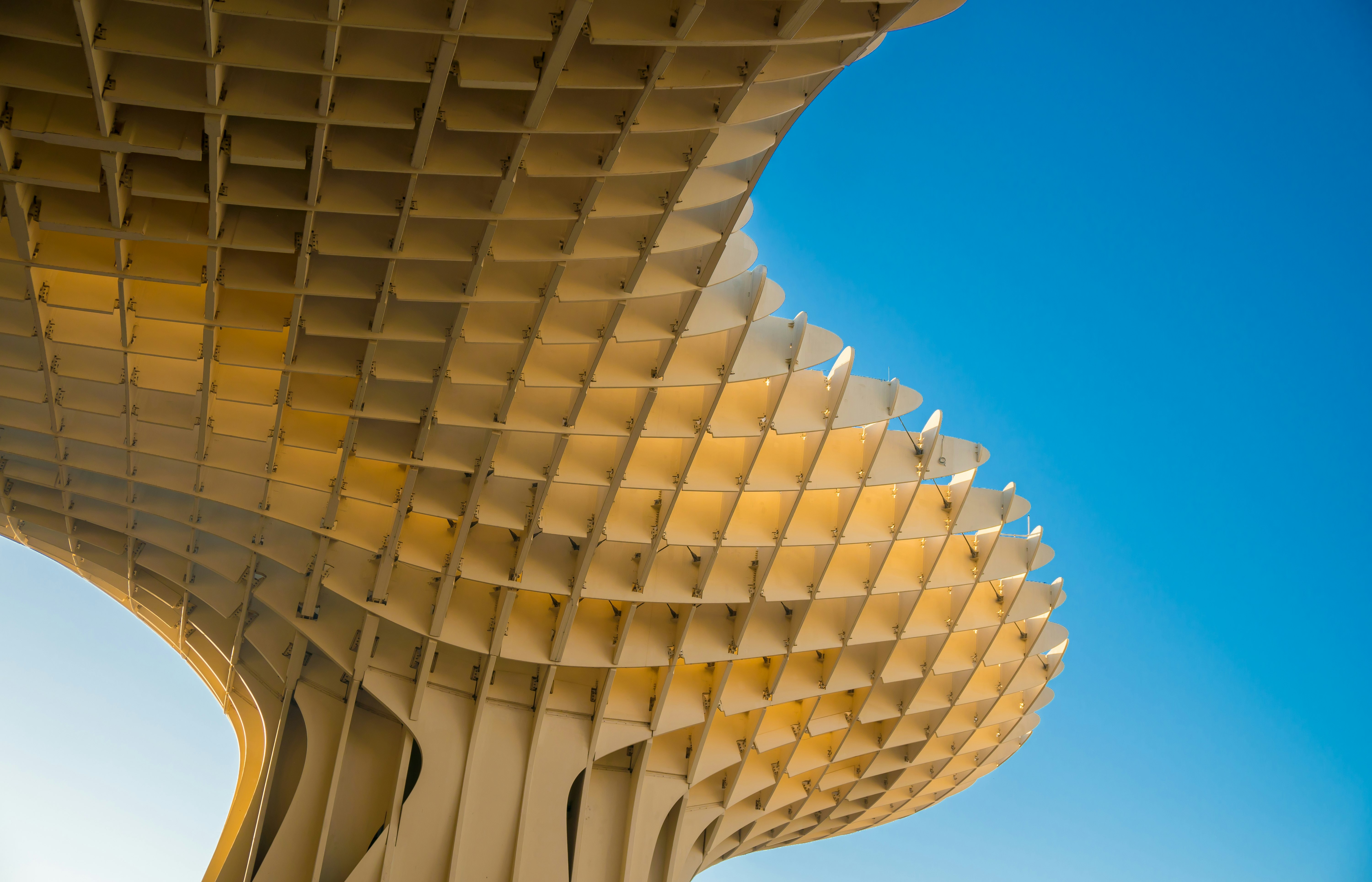 white concrete building